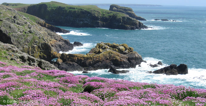 EU Common Fisheries Policy